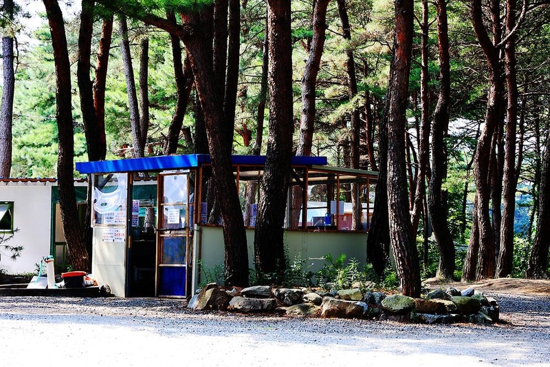 양양 솔바다 캠핑장 시설 사진 5