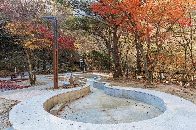 소백산국립공원 남천야영장 시설 사진 47