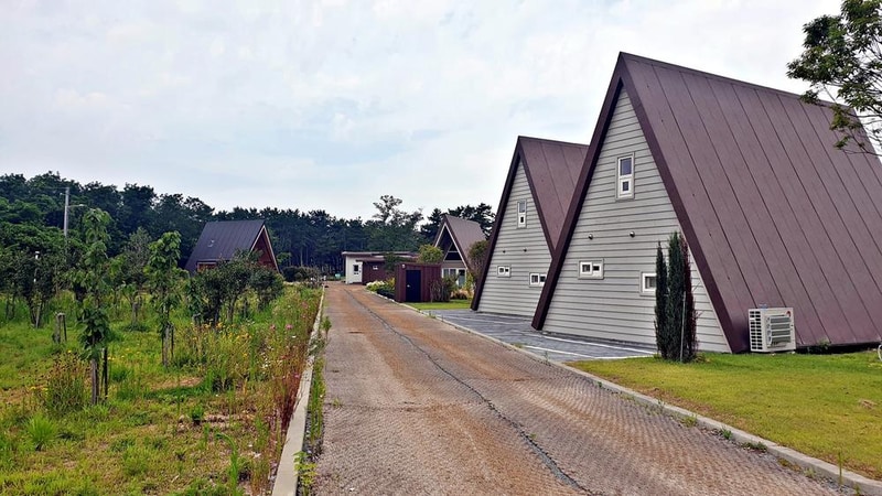 캠프 해놀 시설 사진 33