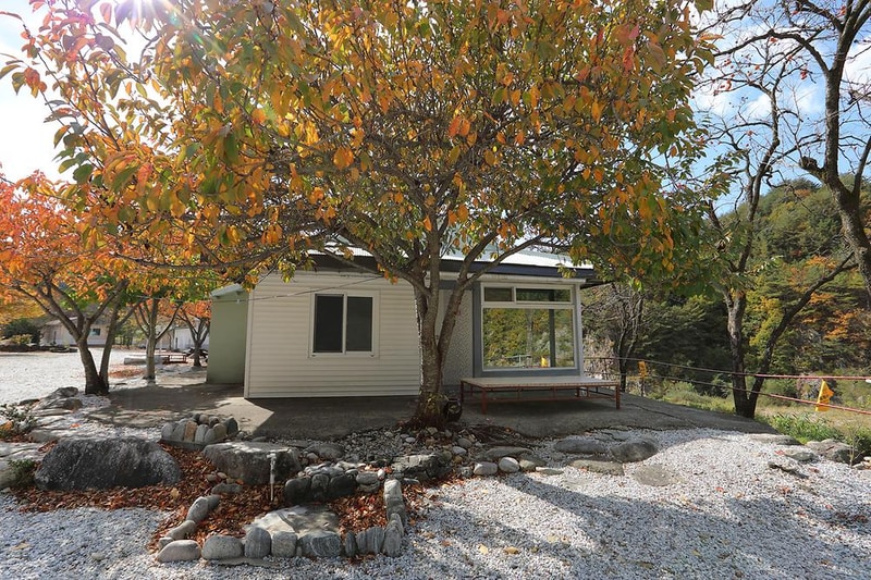 왕피천모래언덕 펜션/캠핑장 시설 사진 8