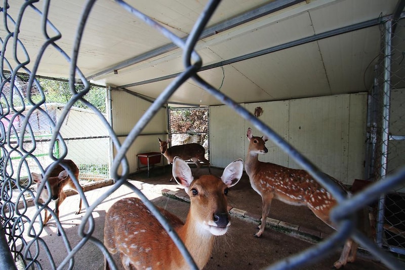 이안숲속오토캠핑장 시설 사진 17