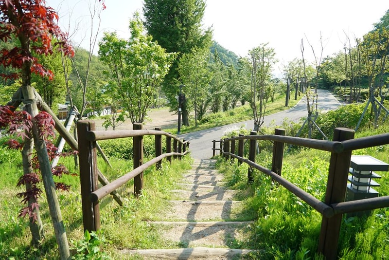 천왕산 가족캠핑장 시설 사진 109