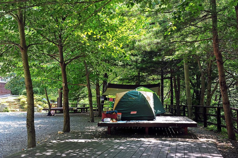 국립천관산자연휴양림 시설 사진 3