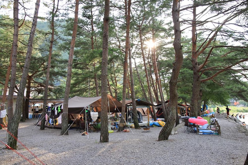 내리계곡 솔밭캠핑장 시설 사진 17