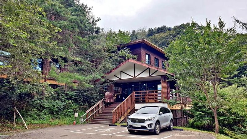 맑은숲캠프 대표 사진