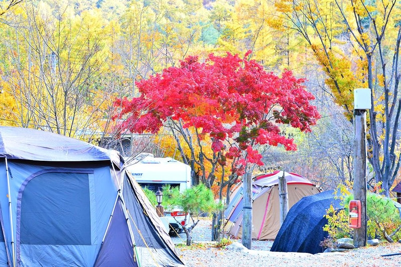 에뜨유명산캠핑장 시설 사진 4