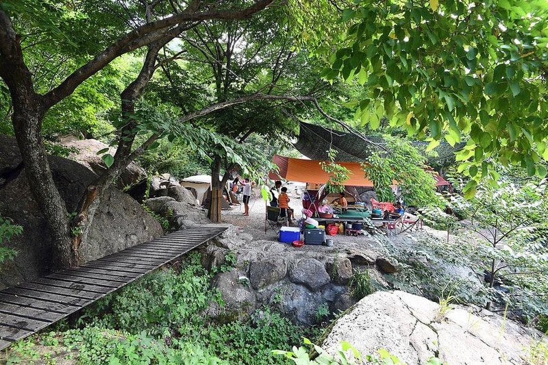 느티나무야영장 시설 사진 2