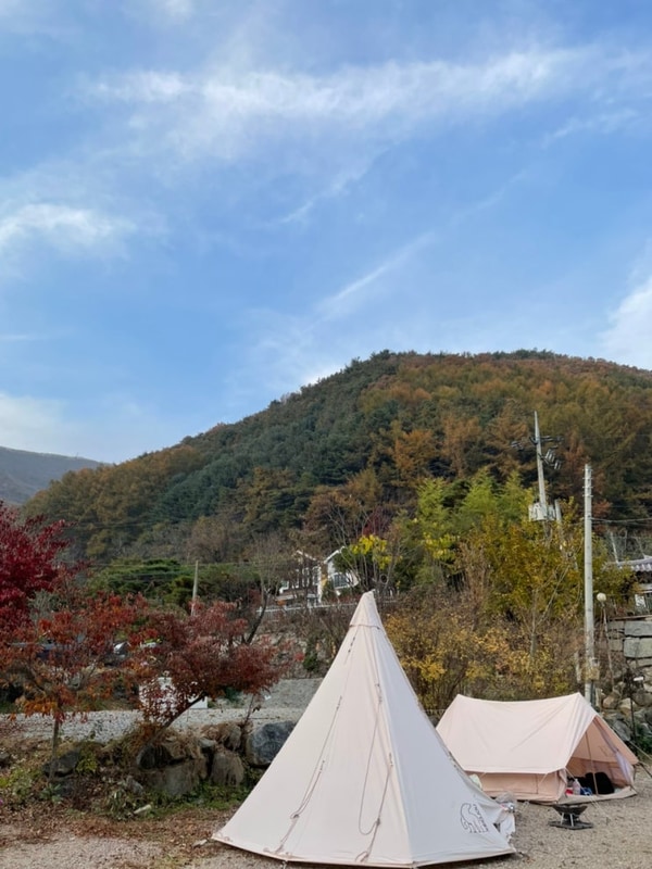 다인캠핑장 대표 사진