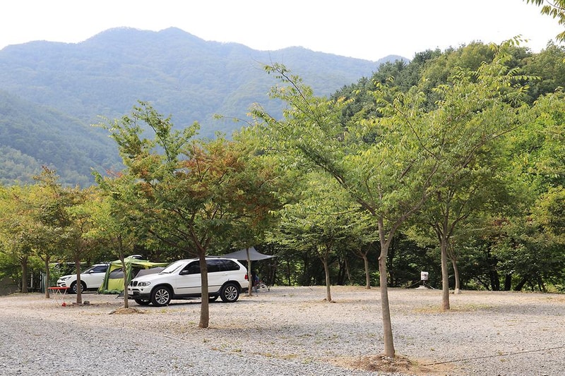 엄소리오토캠핑장 시설 사진 4