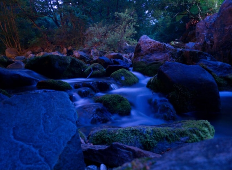 밤별생각 낮달이야기 대표 사진