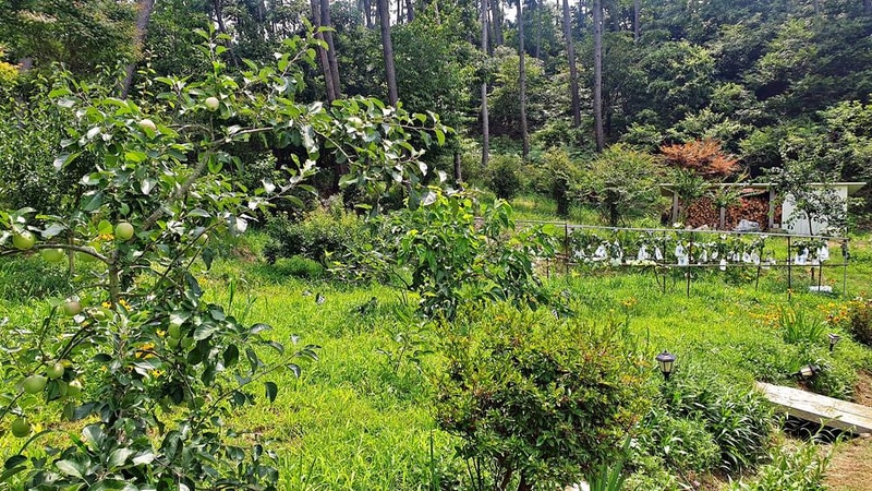 피구지 관광농원 시설 사진 1