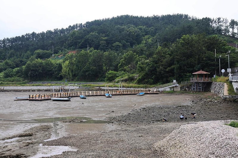 비토애 시설 사진 15