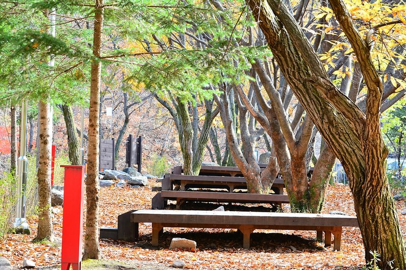 국립유명산자연휴양림(일반) 시설 사진 18