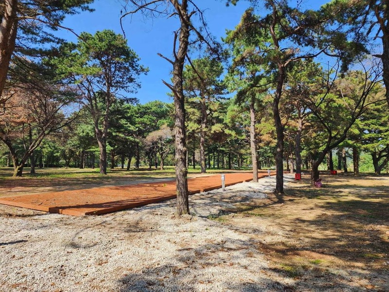 팜파스농원 시설 사진 17