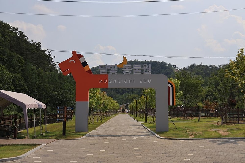 펫힐링 달빛동물원 캠핑장 시설 사진 9