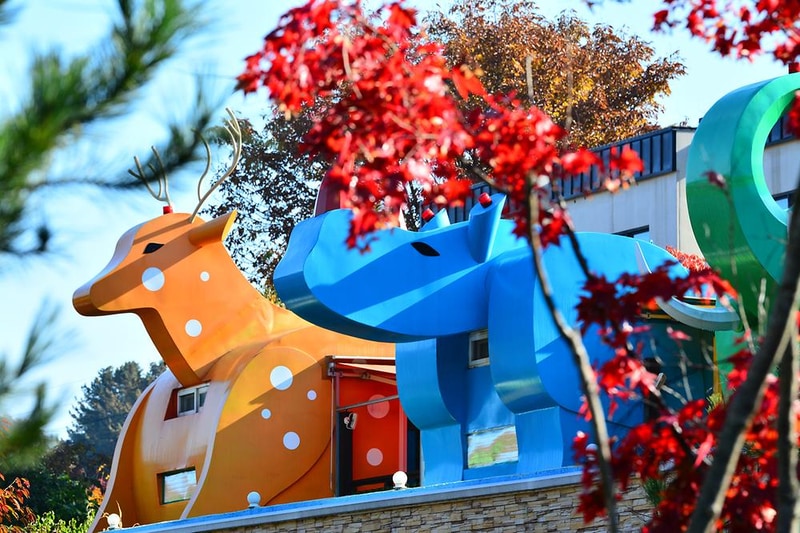 동물카라반 시설 사진 9