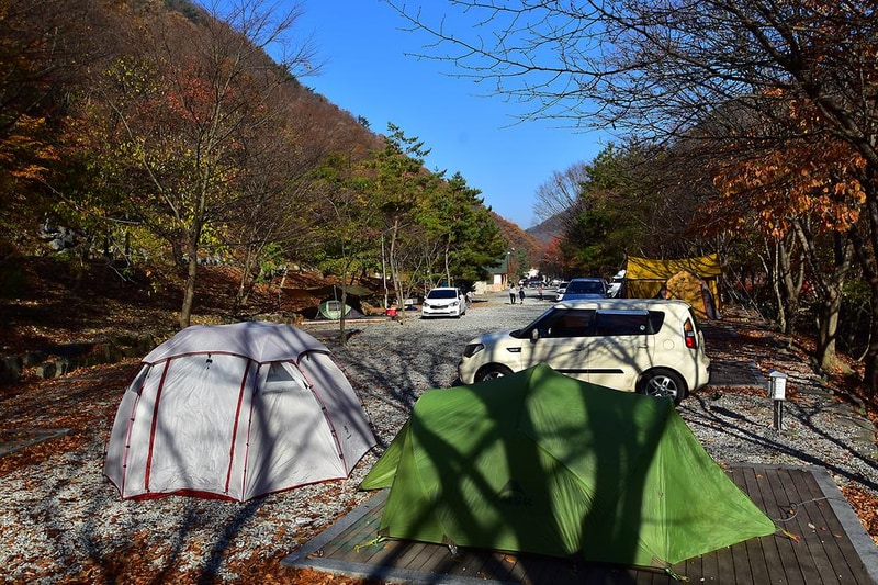 금산산림문화타운 시설 사진 3