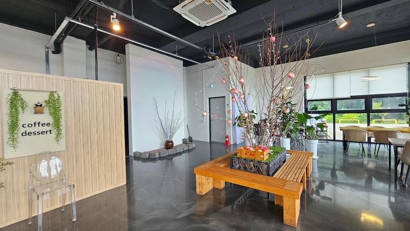 별빛마루 관광농원 시설 사진 33