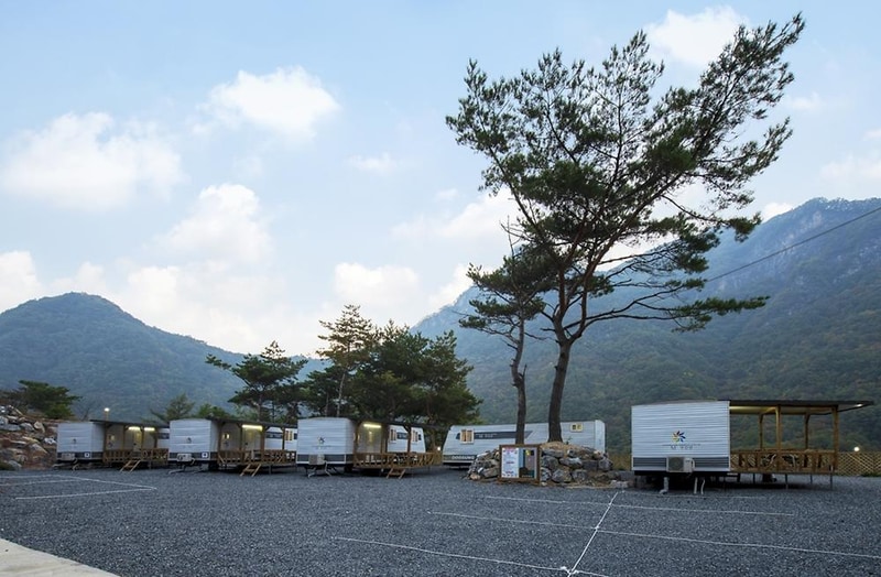 파인 카라반 캠핑장 시설 사진 20