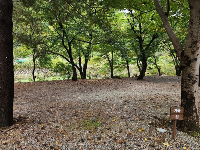 유명산밸리 캠핑장 시설 사진 17