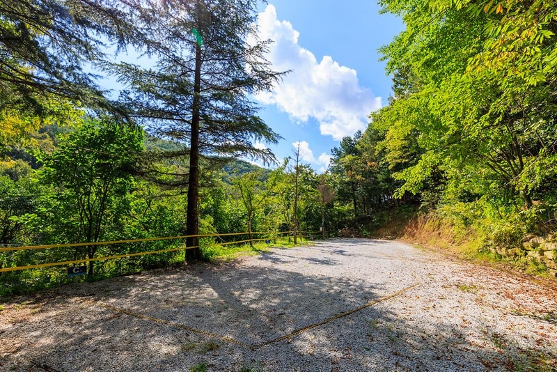 옥당걸숲속관광농원 시설 사진 13