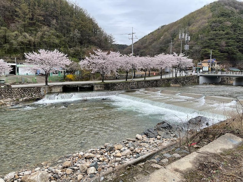 월악파머스캠핑장 시설 사진 6