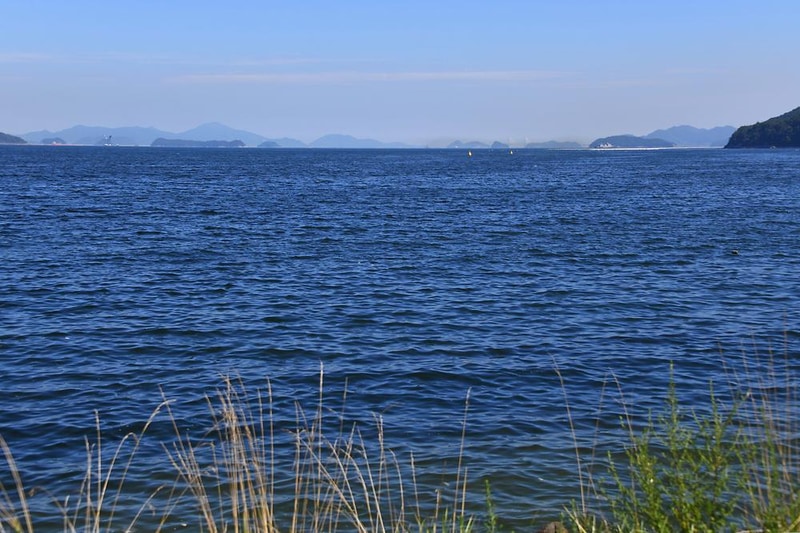 타이거스피드 안녕오토캠핑장 시설 사진 11