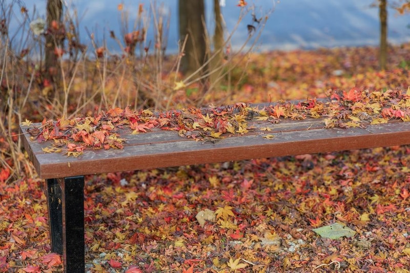 내장산국립공원 내장호야영장 시설 사진 23