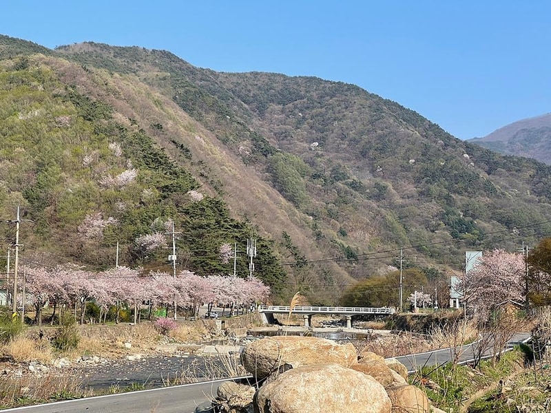 월악파머스캠핑장 시설 사진 9