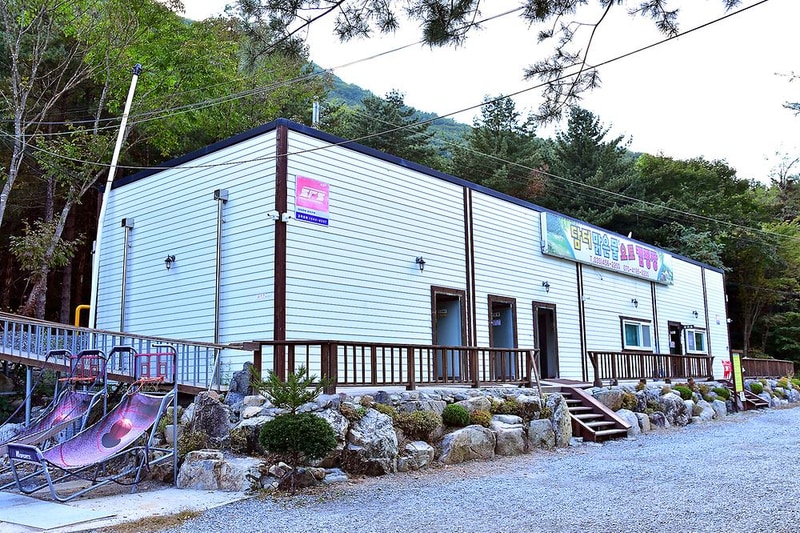 하얀숲 오토&글램핑 시설 사진 17