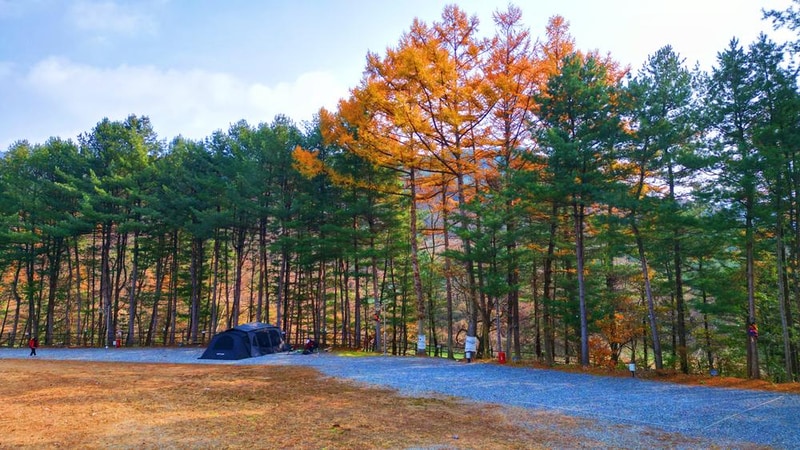 어게인 스쿨 시설 사진 25