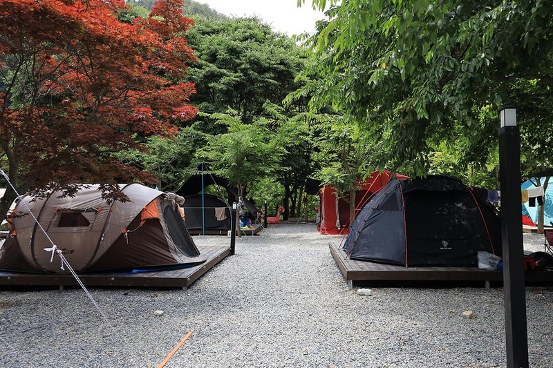 자연과함께 펜션캠핑장 시설 사진 8