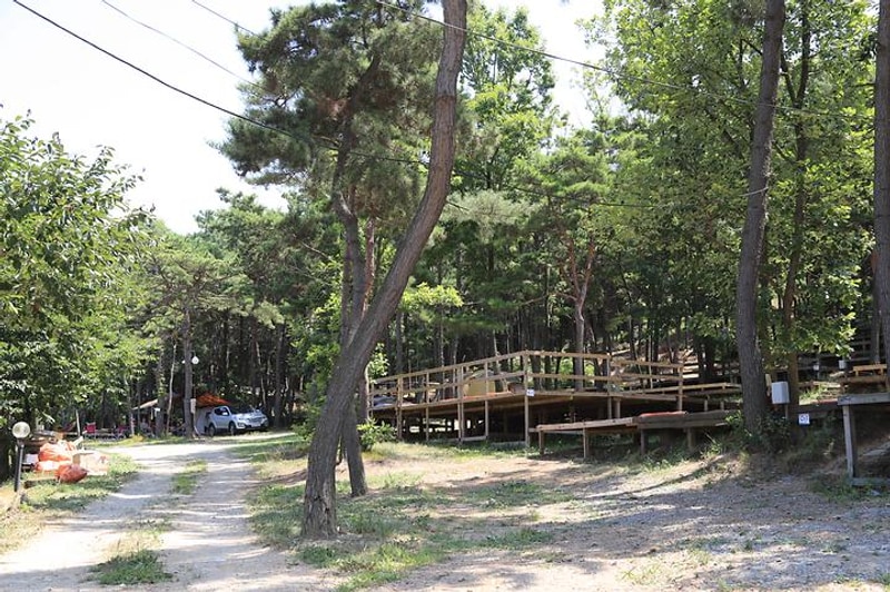 솔밭캠핑장 대표 사진