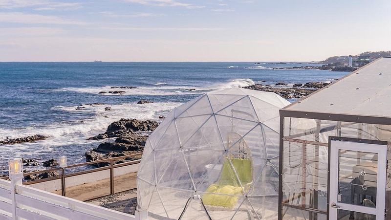 풀글램핑&펫글램핑 시설 사진 21