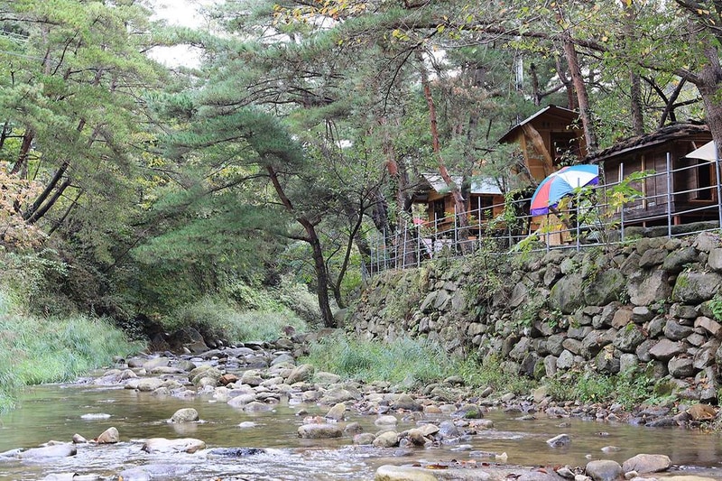 트리하우스계곡야영장 시설 사진 17