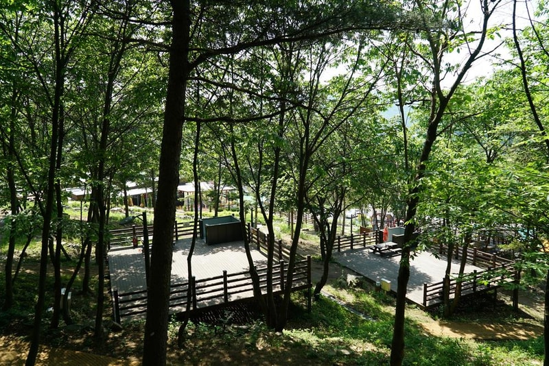 소요별앤숲테마파크 시설 사진 75