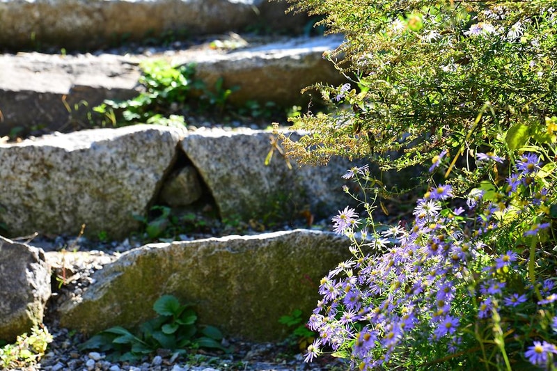 가평 사과나무 캠핑장 시설 사진 15