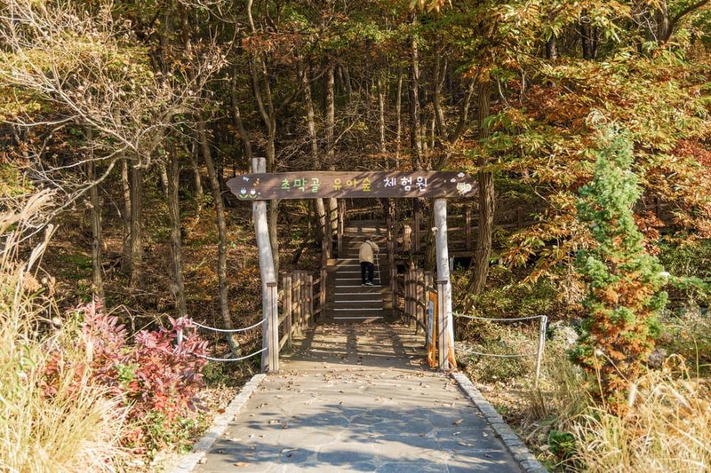 초막골생태공원 느티나무야영장 시설 사진 15