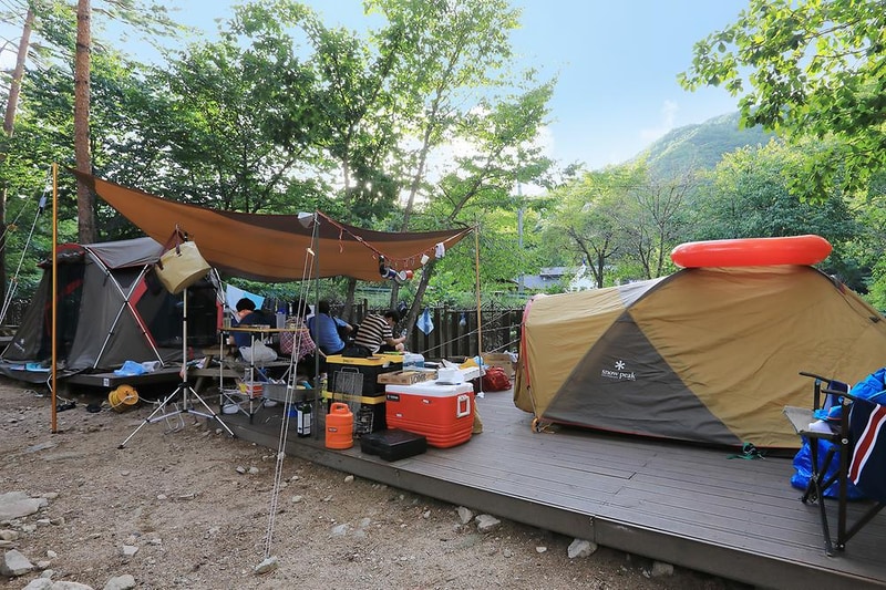 소나무숲아래 시설 사진 9