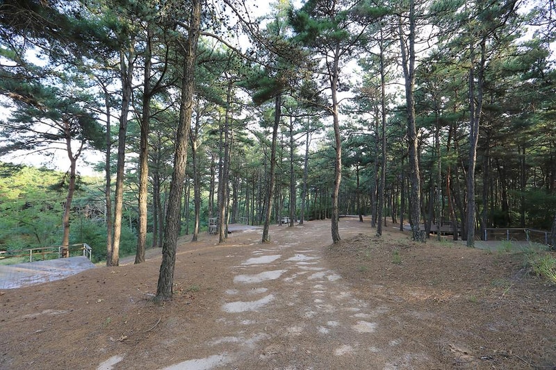 파인힐캠프 시설 사진 15