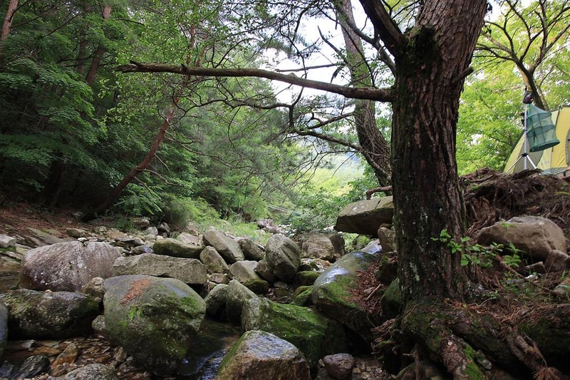 백년펜션 야영장 시설 사진 10