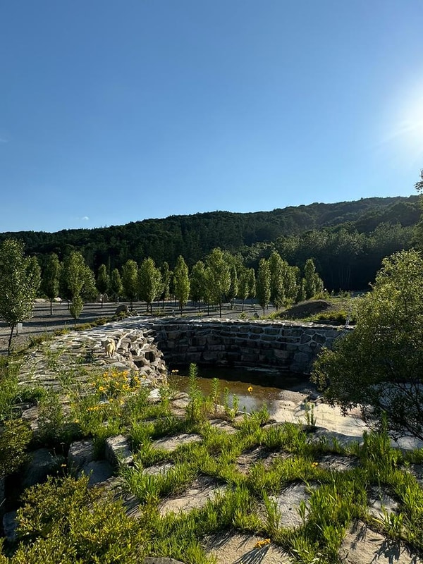 엘모로캠핑 대표 사진