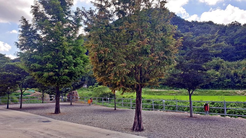 가족캠핑장 시설 사진 12