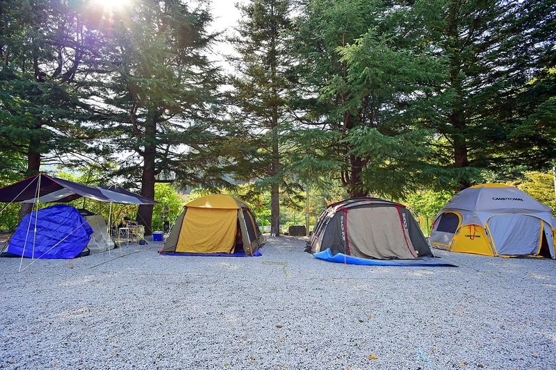달빛고운 병곡캠핑장 시설 사진 9