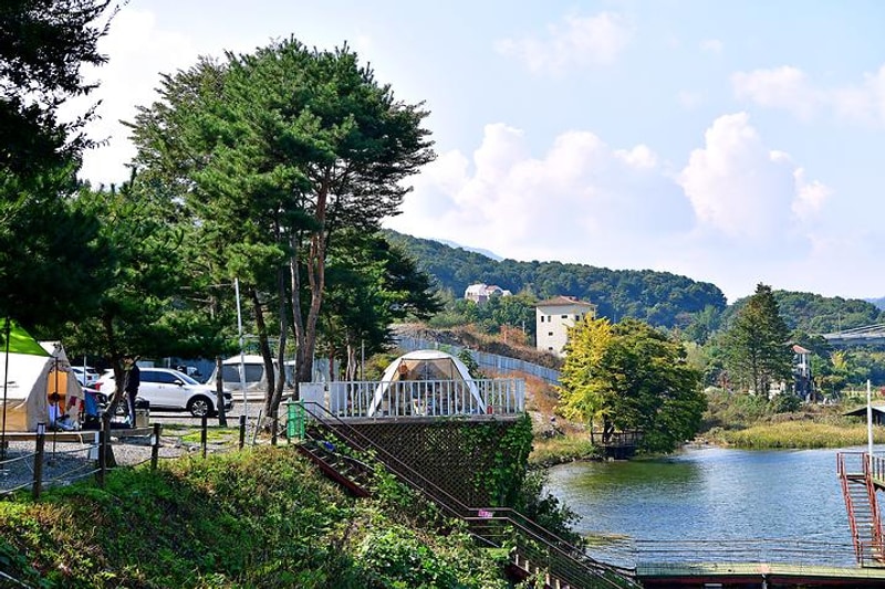 파이브이모션 대표 사진