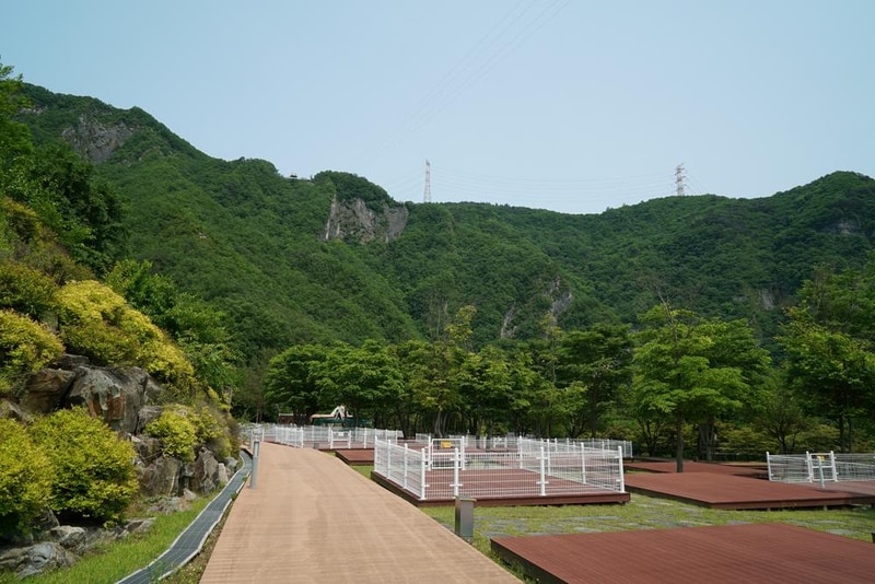 정선군생태체험학습장야영장 펫 동반 캠핑장 시설 사진 50