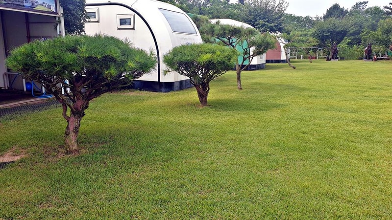 캠핑코리아 카라반오토캠핑장 시설 사진 24