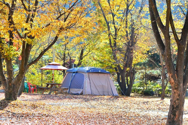 별빛오토캠핑장 시설 사진 4