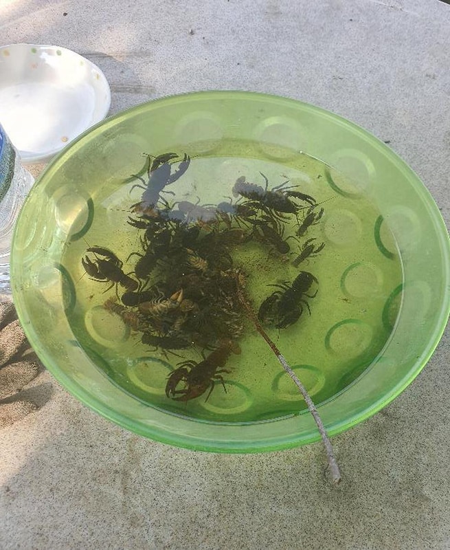 고려산 힐링캠프 시설 사진 21