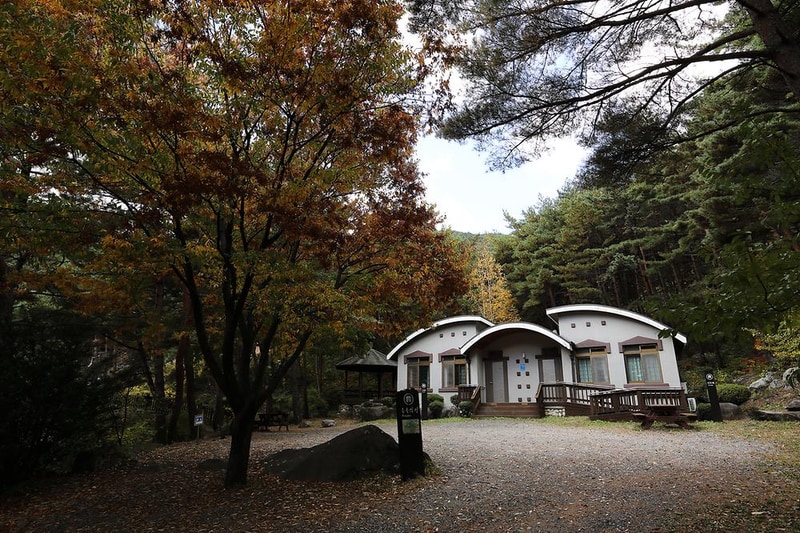 칠보산자연휴양림야영장 시설 사진 17